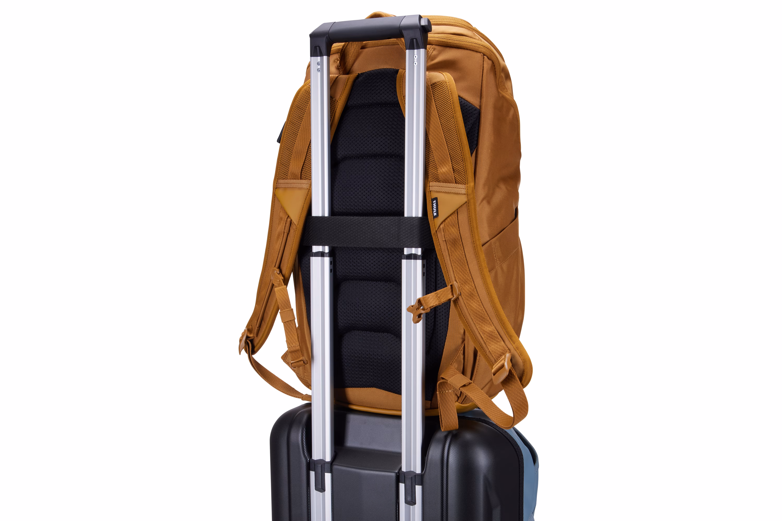 Thule Chasm backpack 26L golden