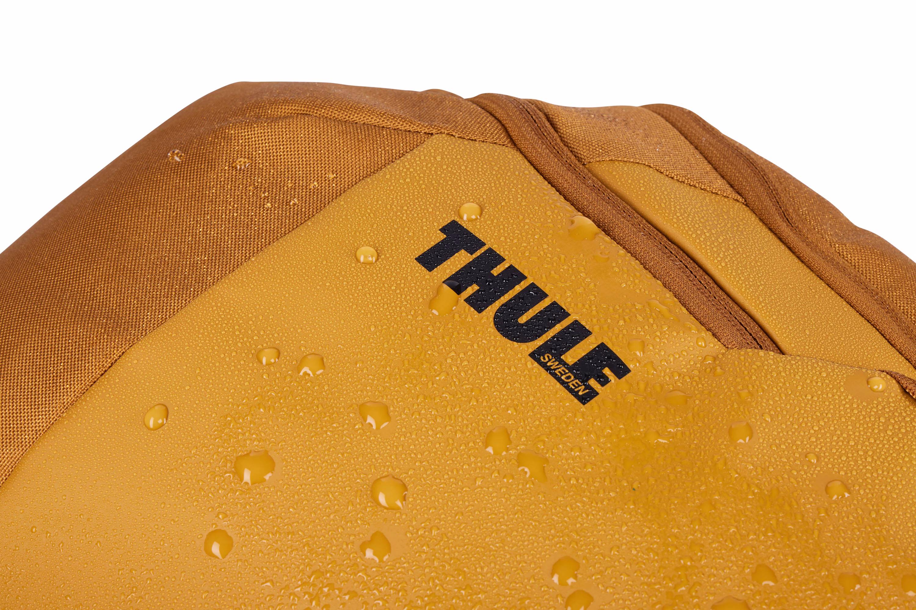 Thule Chasm backpack 26L golden